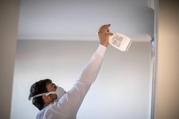 Best Mold Testing  in Ashley, PA