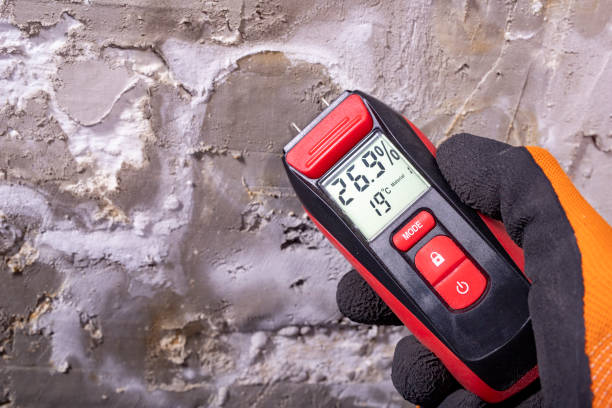 Best Home Mold Removal  in Ashley, PA